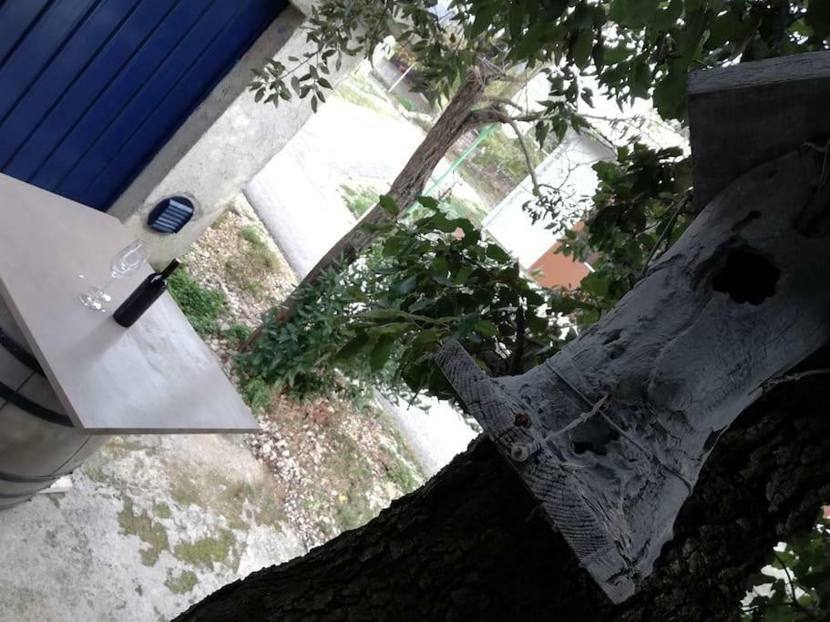Apartment Dobric Koromačno Exterior foto